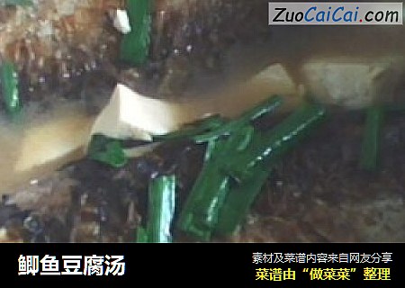鲫鱼豆腐汤