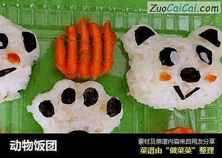 动物饭团