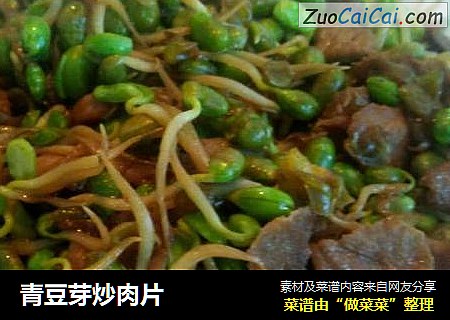 青豆芽炒肉片