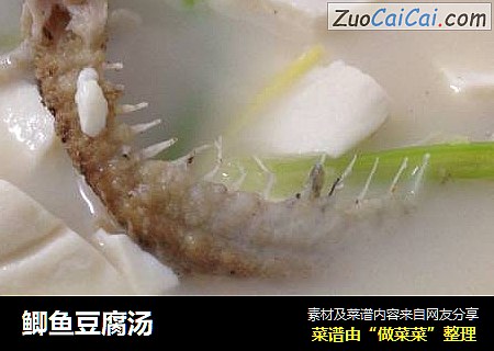 鲫鱼豆腐汤