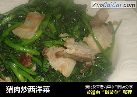 猪肉炒西洋菜