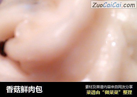 香菇鲜肉包