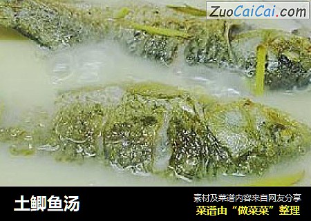 土鲫鱼汤