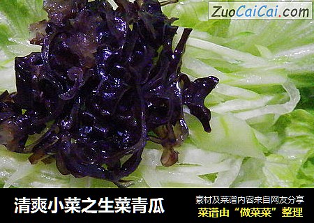 清爽小菜之生菜青瓜