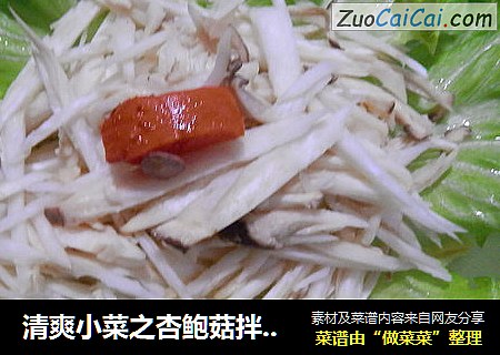 清爽小菜之杏鲍菇拌生菜