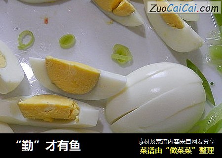 “勤”才有鱼