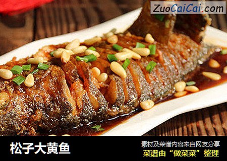 松子大黄鱼