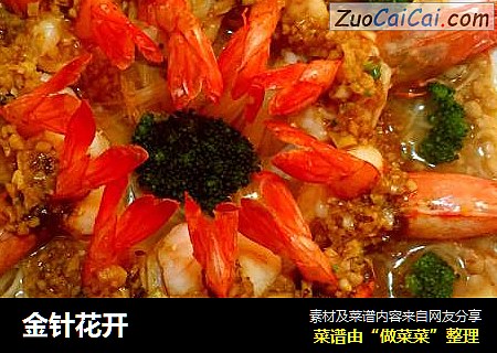 金针花开