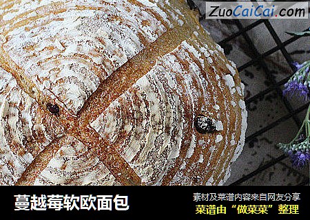 蔓越莓软欧面包