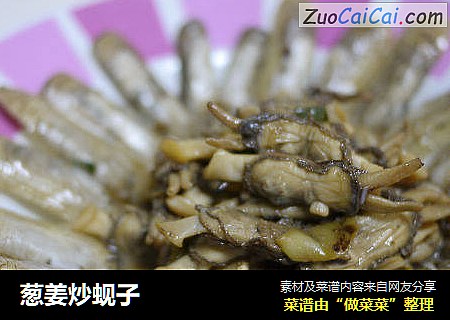 葱姜炒蚬子