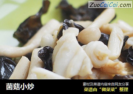 菌菇小炒