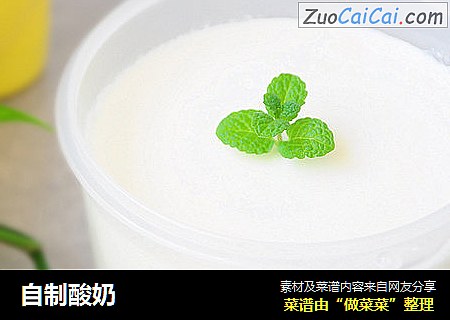 自制酸奶