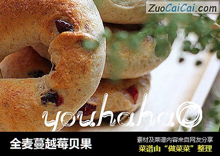 全麦蔓越莓贝果