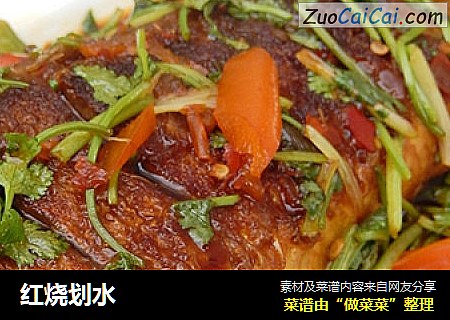 红烧划水