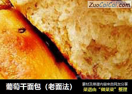 葡萄干面包（老面法）
