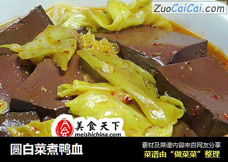 圆白菜煮鸭血
