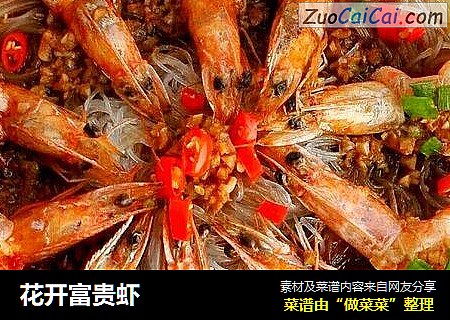 花开富贵虾