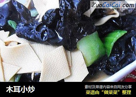 木耳小炒
