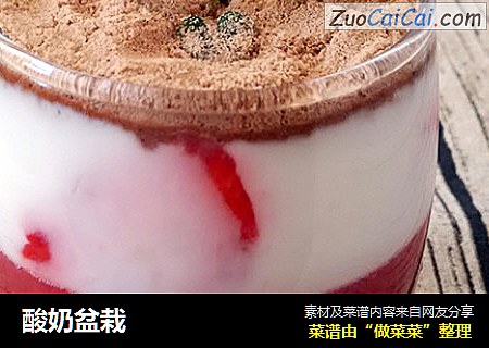 酸奶盆栽