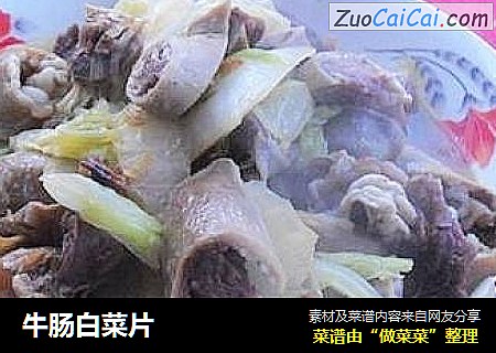 牛肠白菜片