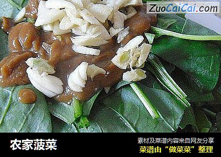 农家菠菜