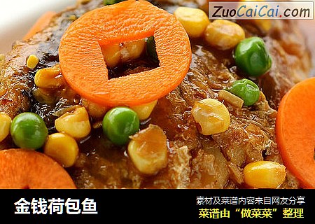 金钱荷包鱼