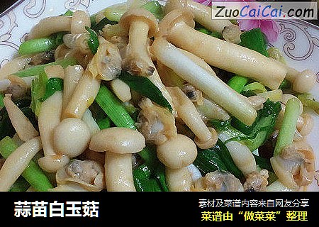 蒜苗白玉菇