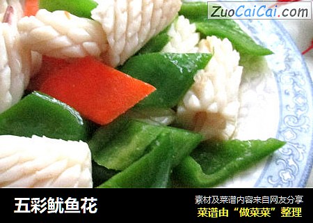 五彩鱿鱼花