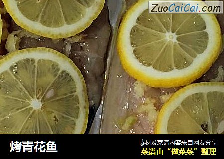 烤青花鱼
