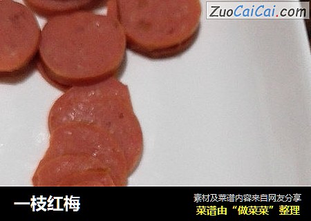 一枝红梅