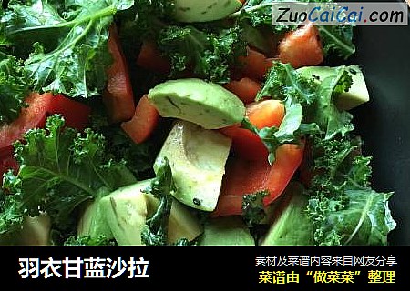 羽衣甘蓝沙拉