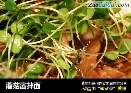蘑菇酱拌面