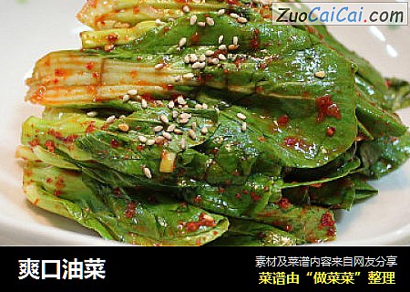 爽口油菜