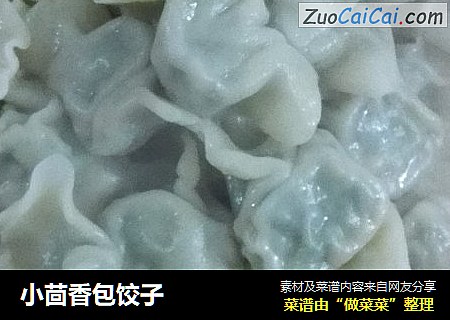 小茴香包饺子