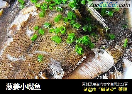 葱姜小嘴鱼