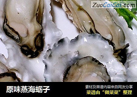原味蒸海蛎子