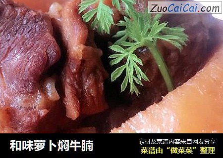 和味萝卜焖牛腩