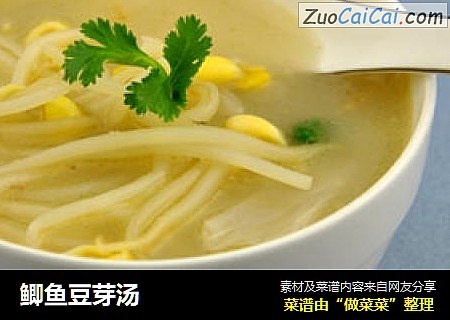 鲫鱼豆芽汤