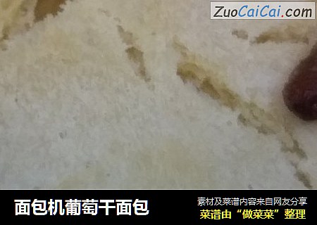 面包机葡萄干面包