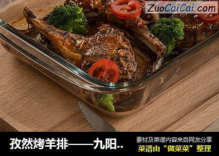 孜然烤羊排——九阳知食
