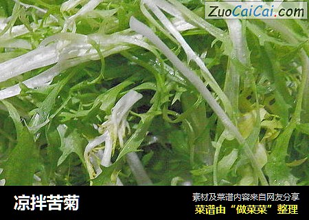 凉拌苦菊