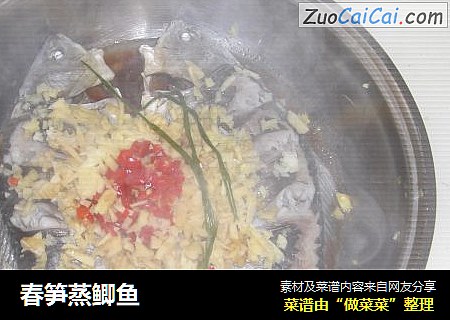 春笋蒸鲫鱼