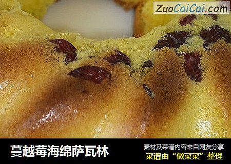 蔓越莓海绵萨瓦林