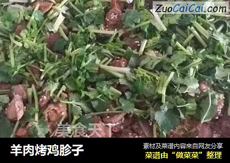 羊肉烤鸡胗子