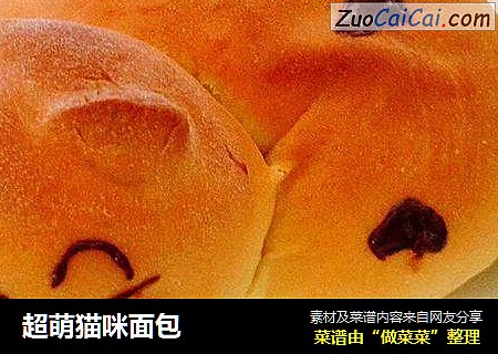 超萌猫咪面包