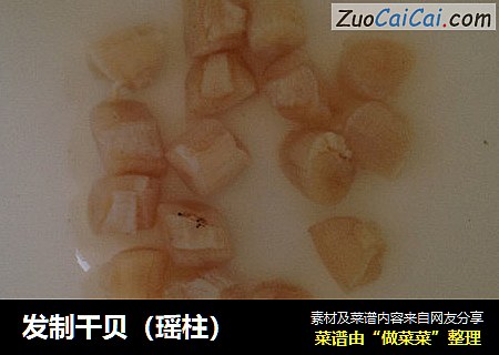 发制干贝（瑶柱）