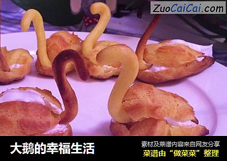 大鹅的幸福生活