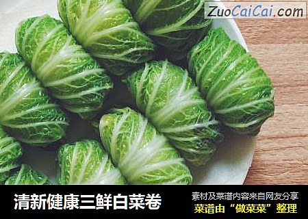 清新健康三鲜白菜卷
