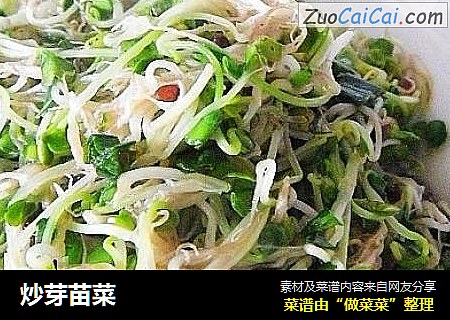 炒芽苗菜