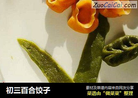初三百合饺子